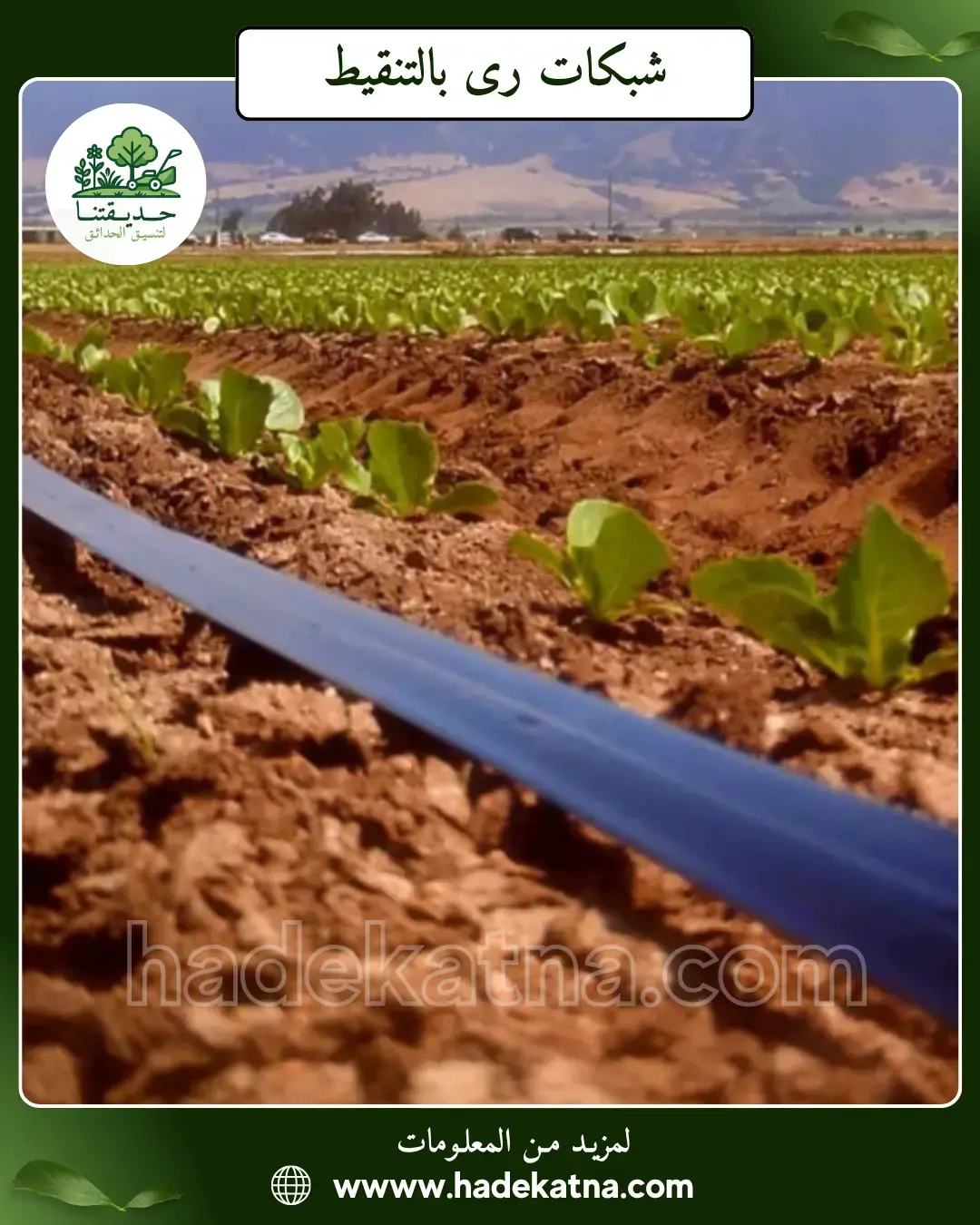 تركيب شبكات ري في القرين